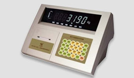 數字式稱重儀表DS1